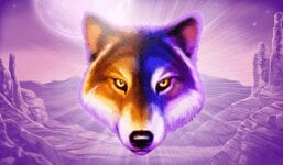 21-com-wolf-gold-eksklusiv-kampanje-mars-2021