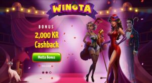 Winota-casino-review