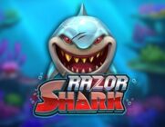 Razor-Shark_320x247